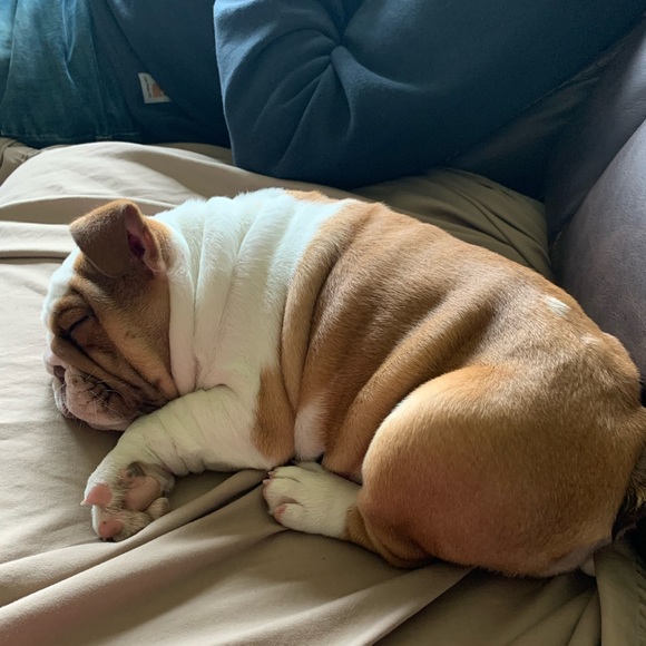 Our Baby Girl Miss Bella B - Picture 14 of 16